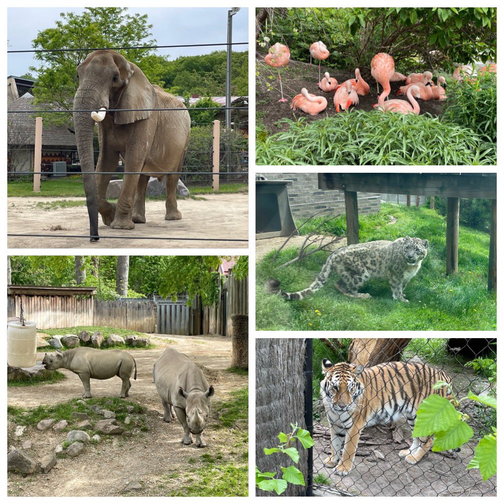 xxs121's tweet photo. Great day at the @clemetzoo!!! https://t.co/t6DE9NiliE