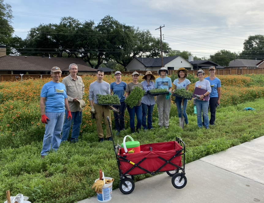 TCAtexas's tweet photo. Join our Texas Conservation Action Team and Friends of Northaven Trail to protect #pollinators on Saturday! We will join the Friends group this weekend to add #NativePlants for urban #wildlife and the community.
Volunteers will receive FREE ice cream! 🦋#TXCAT https://t.co/oIc0TViJtZ