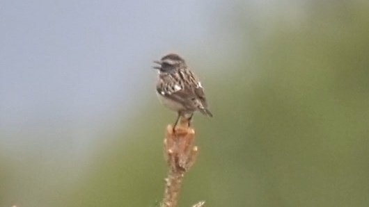 Arc Guiding tweet media