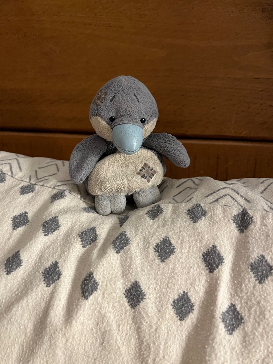 Early night for me and Sam’s penguin as we will be up at 4 for our trip to London. Thanks for the support everyone. #babyloss #YouAreNotAlone