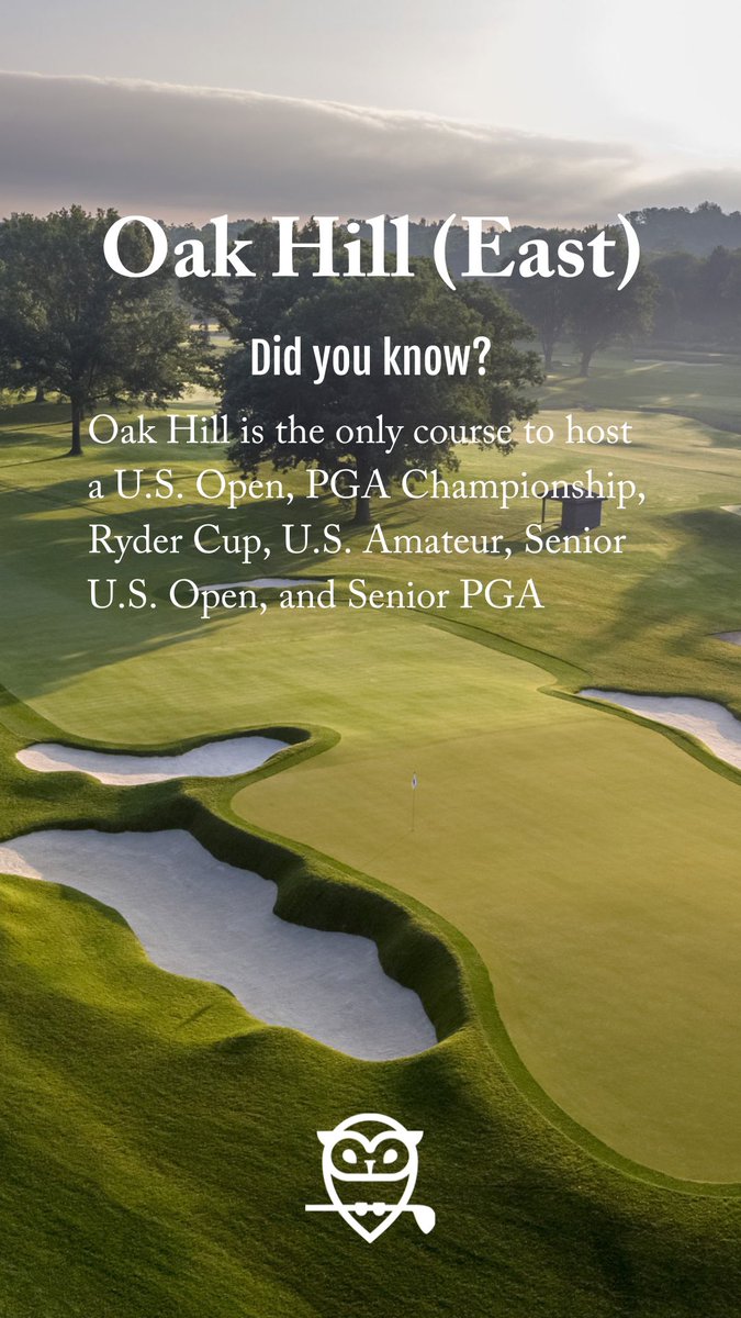 Open Links Golf tweet media