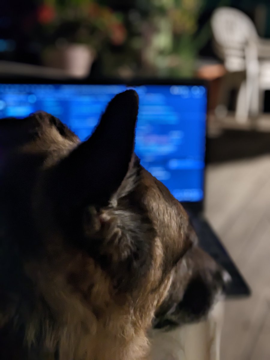 itsjustlevine's tweet photo. 🆘 Help Belle has hijacked my laptop and all she wants to do is spam @wpgraphql #ContentBlocks with pull requests 😱

8 PRs today and there's no slowing down 💪🐶🚀

Will @wpebuilders block us for spamming the repo? Time will tell 😬

#codeInPublic #headlessWP #shesSuchAGoodBoi https://t.co/evrj61w3vL