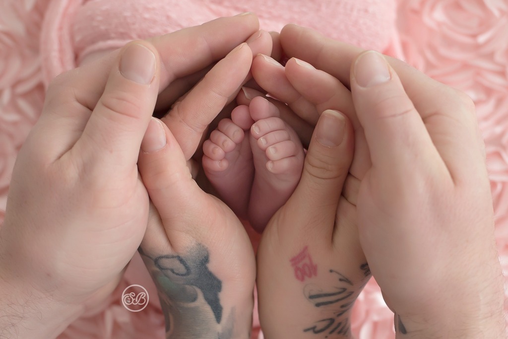 sarahbeebephoto's tweet photo. https://t.co/SoGg76dAho