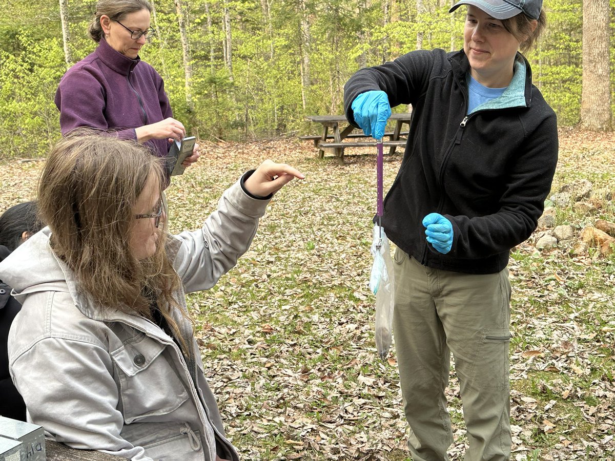 Ben_D_Rubin's tweet photo. Small mammal trapping today in #Adirondack Forest Ecology field course. #OUPFBDacks https://t.co/GIN5ByhKTd