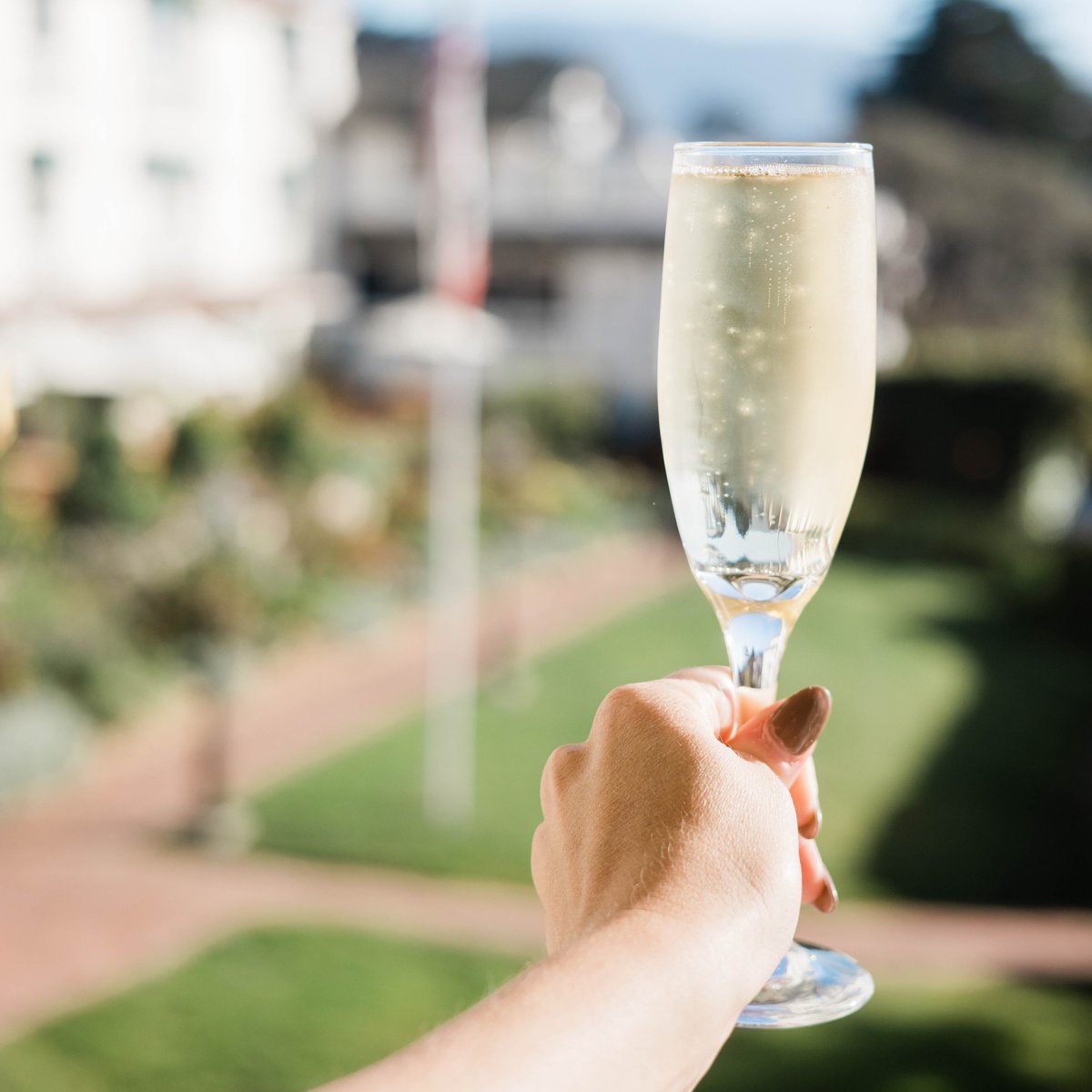 La Playa Hotel tweet media