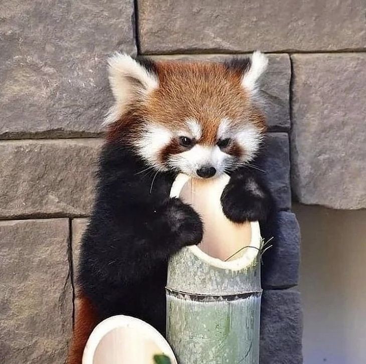 Buenas noches *Aparece*