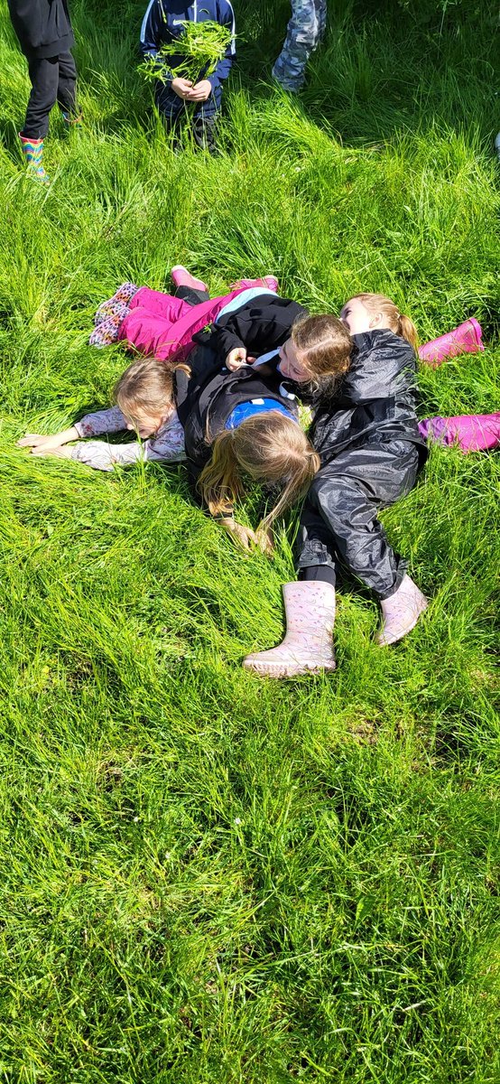 Today I introduced the children to Cleavers, which is more commonly known by the fun term- stickyweed or goose grass 😀 We spent ages creating a sticky weed monster, building a den to escape from the monster and rolling around trying to avoid sticky weed attacks. A great day 🤗