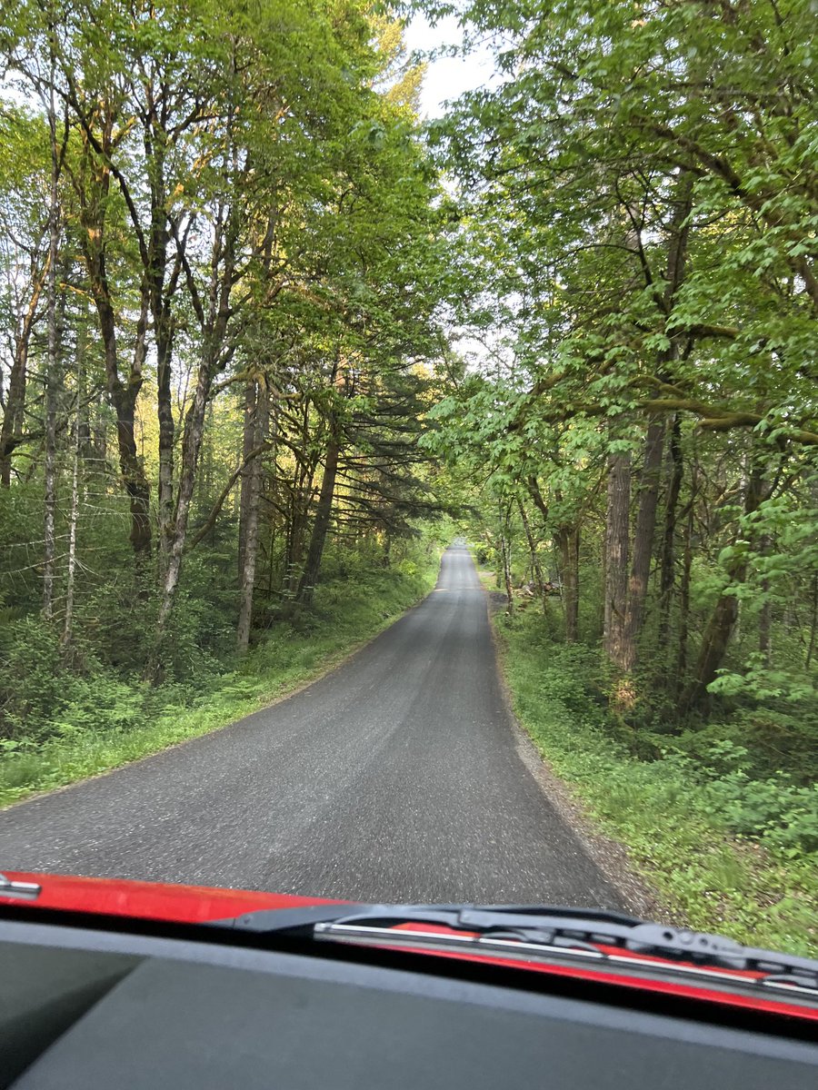 I love my neighborhood! #whereilive#inmyhondaelement #onmywayhome #VenersborgWA🇺🇸