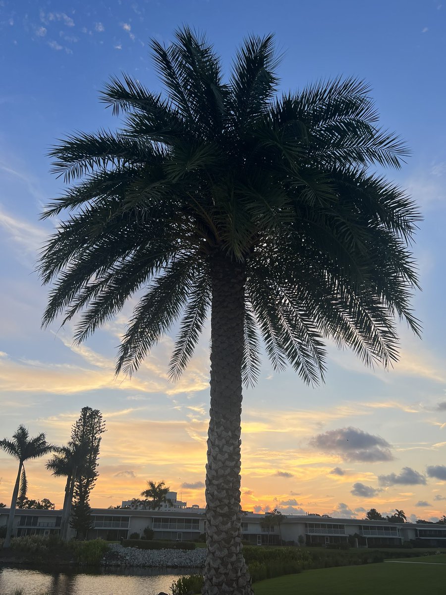 Olivia Josephsen MS, MHS, PA (ASCP) tweet media