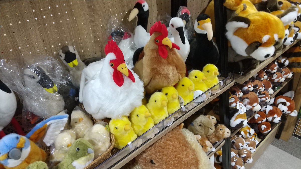 自然体験センター「かふぇムー」のグッズコーナーに、ニワトリの