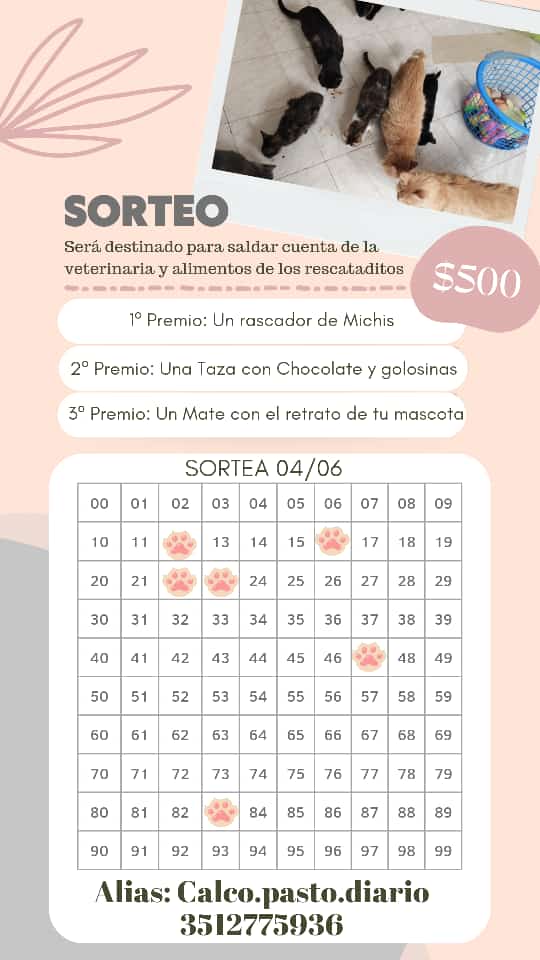 loreley_15's tweet photo. Hola Gente! 
Ella es Hydra es una protecciónista de animales, que se encarga de asistir gatitos en situacion de abandono y en las peores condiciones. Esta haciendo un sorteo hermoso para poder seguir asistiendo a muchos gatitos.
@VivireNuevaCba @Vivir_en_Guemes https://t.co/qLp2Y9QZZz
