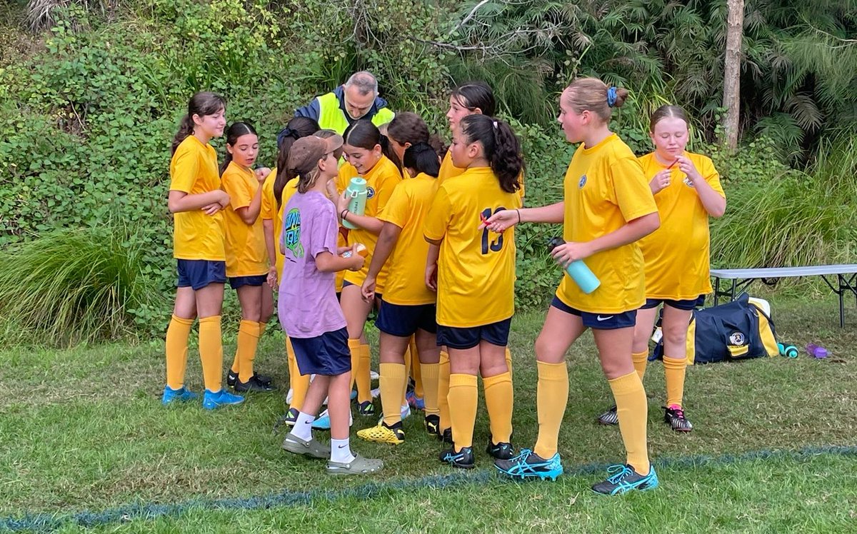 mailchi.mp/d90013b7e41d/b…