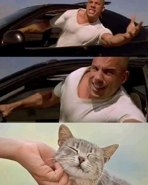 WholesomeMeme's tweet image. 