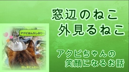 HappyCatStory's tweet photo. ユーチューブ動画【幸せなねこの物語 18話】
エンジンルームから助け出され、ねこ雑貨店の店番になったアクビちゃんの笑顔になるお話
https://t.co/p9ngGweUOY 

#ねこ #猫との暮らし #保護��� #保護猫カフェ #猫好きさんと繋がりたい #猫のいる生活 #ねこグッズ #ねこのきもち #ハクション大魔王 https://t.co/rZwEPHejKO