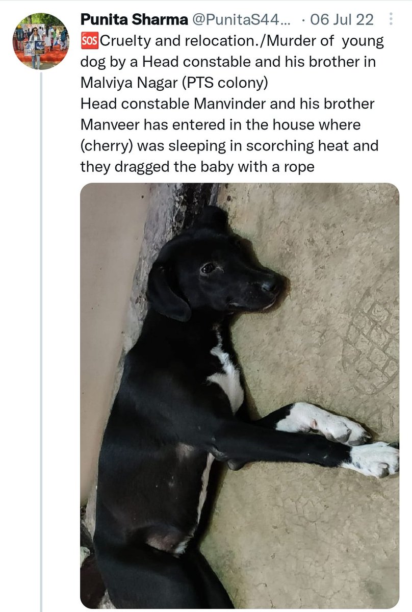 joedelhi's tweet photo. @JFAnimalWelfare @IASassociation @IPS_Association Check this out ... Same person ? @PunitaS44575106 https://t.co/xIqCZxGida