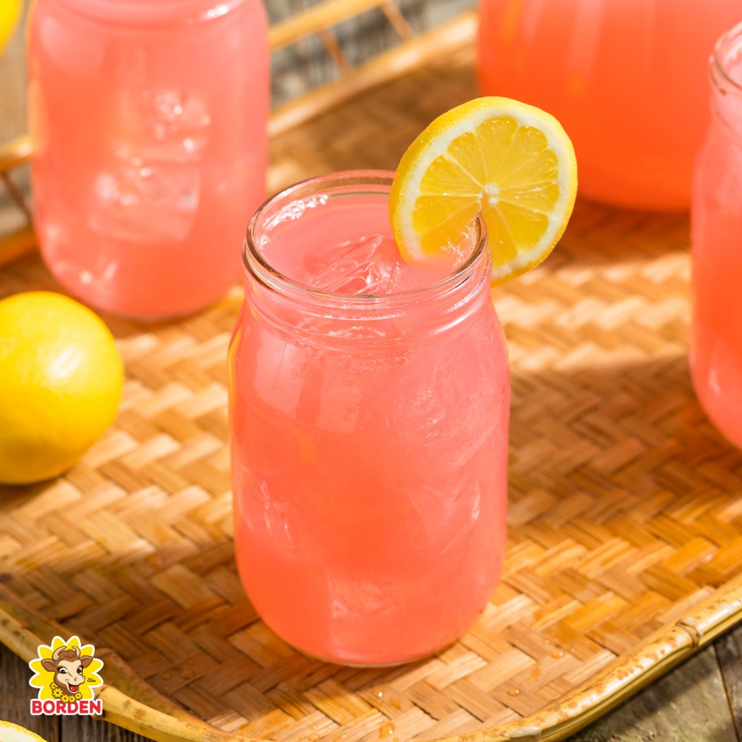 Quench your thirst with the perfect balance of sweet and tangy! Borden Pink Lemonade Drink is the perfect addition to any summer day. Enjoy a refreshing glass with a lemon slice for extra flavor. Cheers to summer!

#ElsieApproved