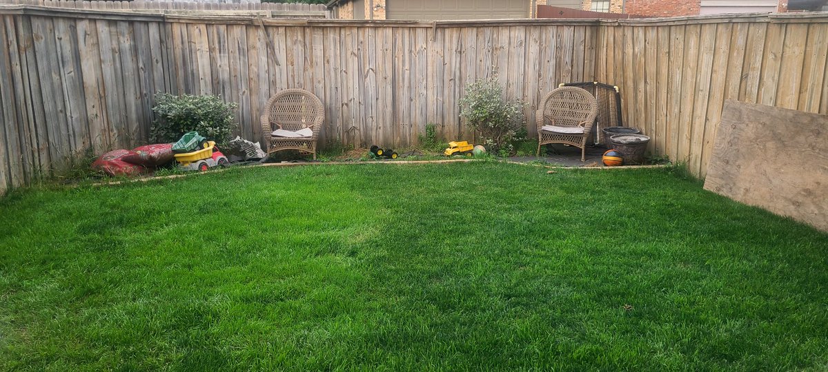 BillyMacLeod's tweet photo. Gotta thank @pennington #SmartSeed Deep Shade for making my back yard thick, and lush. This is not an ad, its my backyard. Now my kids can go out and play and I can go out and lay down in it at night and stare up at the stars. Thank you. Brilliant. https://t.co/Jg6OWDXDc3