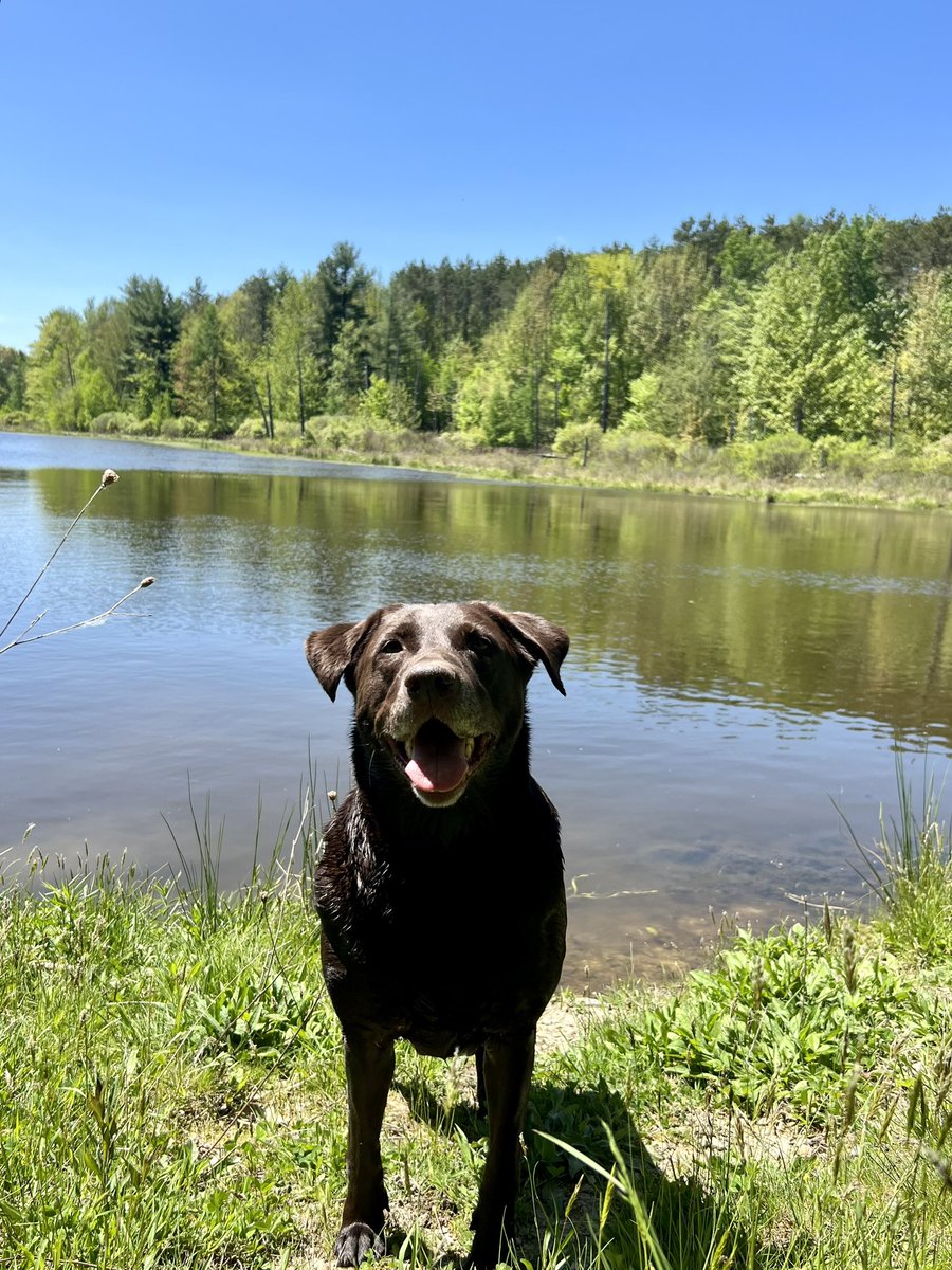 checks out she only likes men