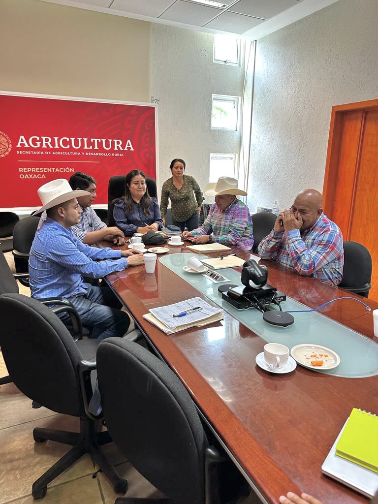 SEFADER_GobOax's tweet photo. Participa el Srio. @LopezLeyvaV en la quinta reunión ordinaria del #CESO, para el buen funcionamiento del #SINIIGA, también se firmó el convenio para la operación del #REEMO en #Oaxaca, con las 3 uniones ganaderas regionales y la rep. de  #SADER, MVZ. Carolina Ojeda Martínez. https://t.co/3HsWpTNV3n