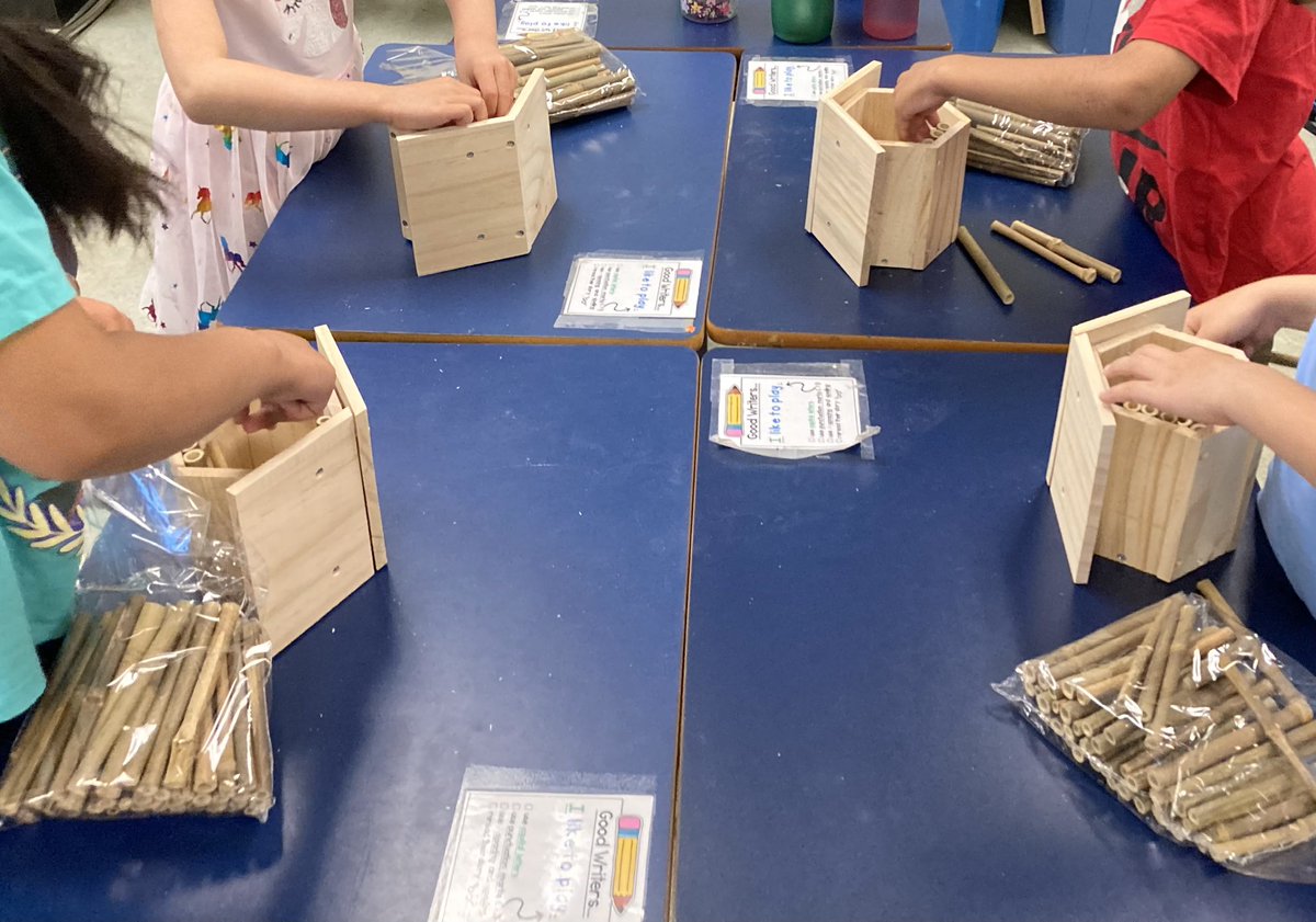 Lisa Bain tweet media