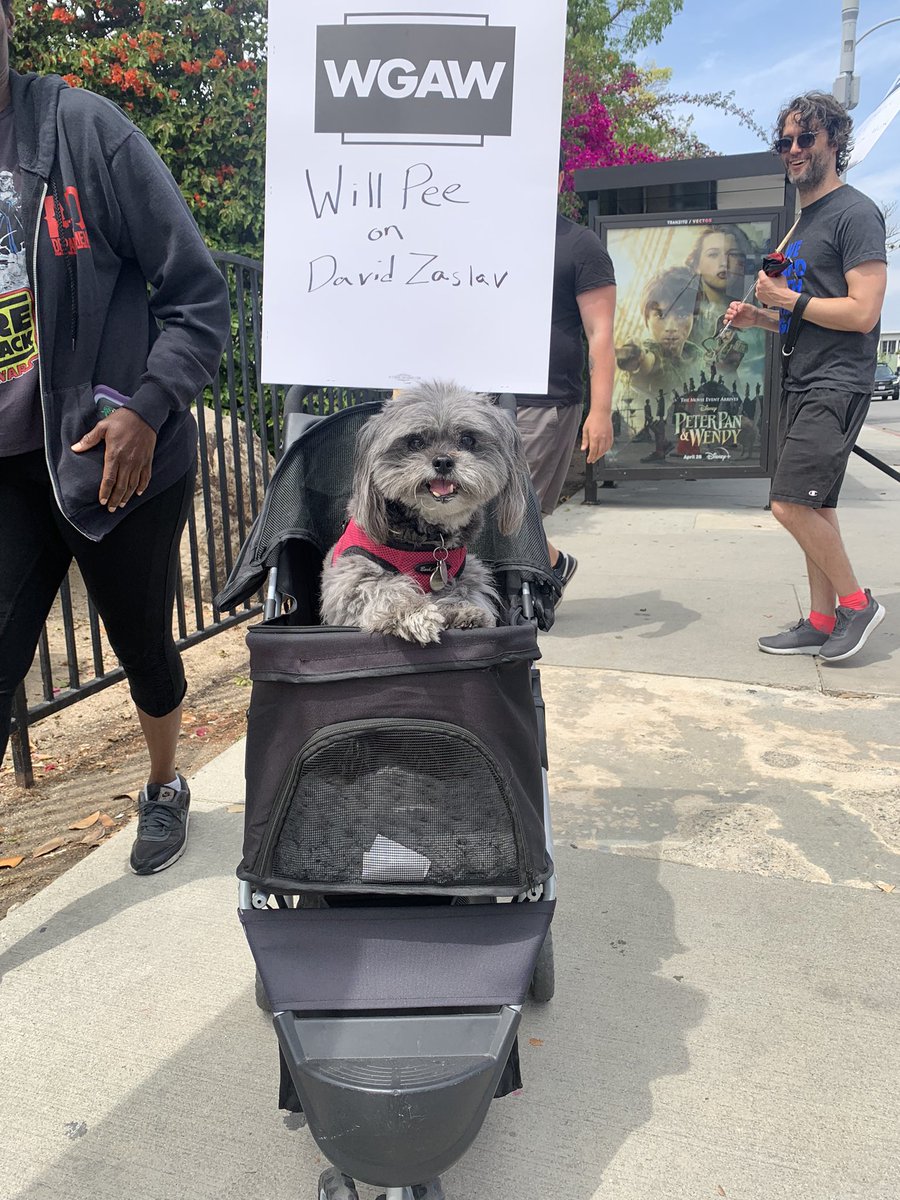 flying_lobster's tweet photo. Also I have to credit Bella the strike dog with the sign of the day. Fight streaming with streaming! #WGAStrong https://t.co/21h6AmBTrN