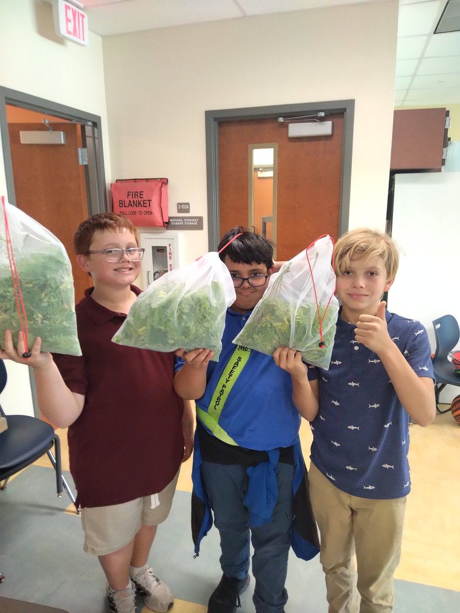 Mrs Berwick tweet media