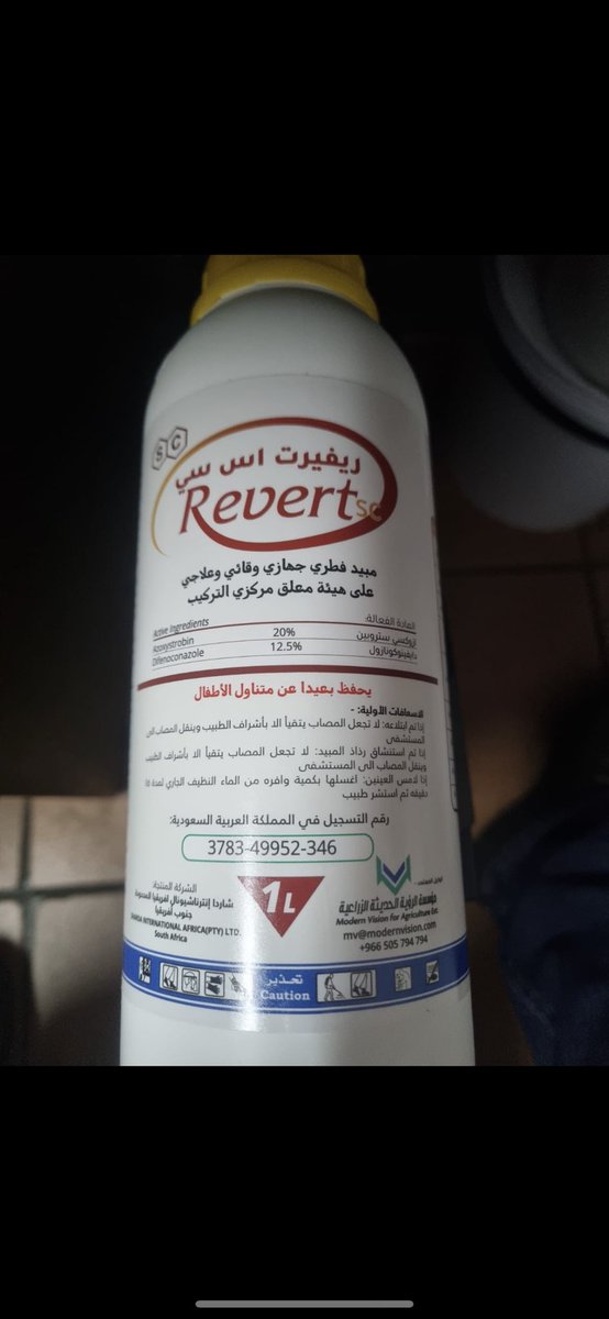 ModrenMv's tweet image. 