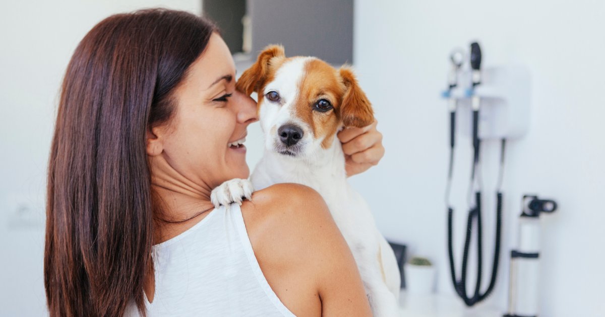 Everything you need to know about vaccinations with your pup: ow.ly/5IgH50OpyI3

#Petinsurance