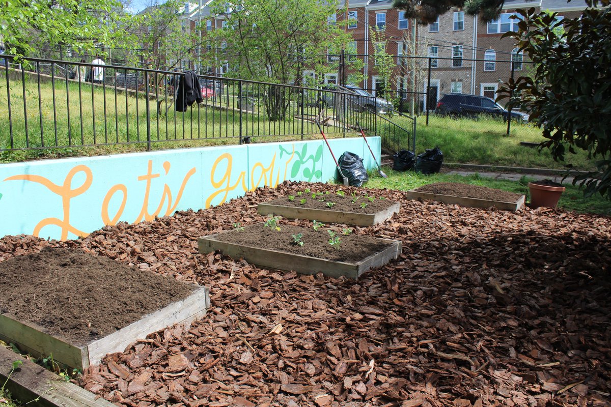 We had a small but mighty group of staff and volunteers help transform the UPO @ Eagle Academy garden in April. Swipe through the photos to see a drastic #GardenGlowUp!

#TransformationTuesday 🌿
