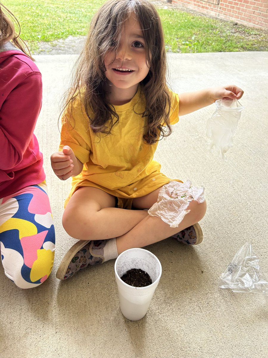 MrsSmithKinders's tweet photo. We studied the plant life cycle a couple weeks ago. Today we planted out sprouts.  Can’t wait to see what grows! 
@BunnElementary https://t.co/OryqGHDmhr