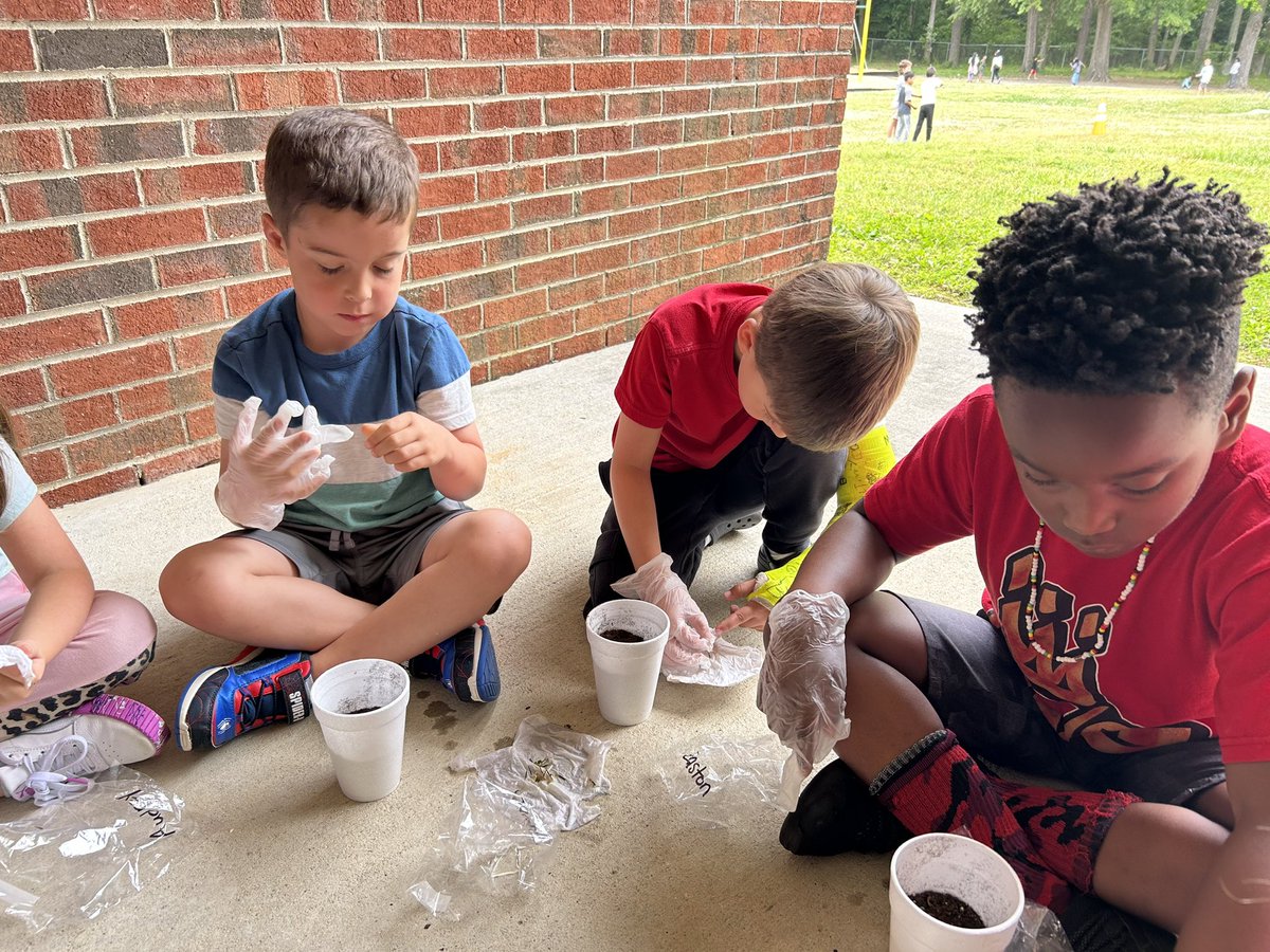 MrsSmithKinders's tweet photo. We studied the plant life cycle a couple weeks ago. Today we planted out sprouts.  Can’t wait to see what grows! 
@BunnElementary https://t.co/OryqGHDmhr