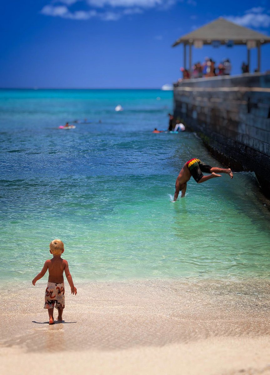 HawaiiPanoramas's tweet photo. This little guy is thinking of joining da local boyz.  Waikiki Beach Pier.  O'ahu, Hawai'i.

#hawaii #oahu #hawaiipanoramas #waikiki #aloha #ocean  #localife https://t.co/M0IjCF4GcX