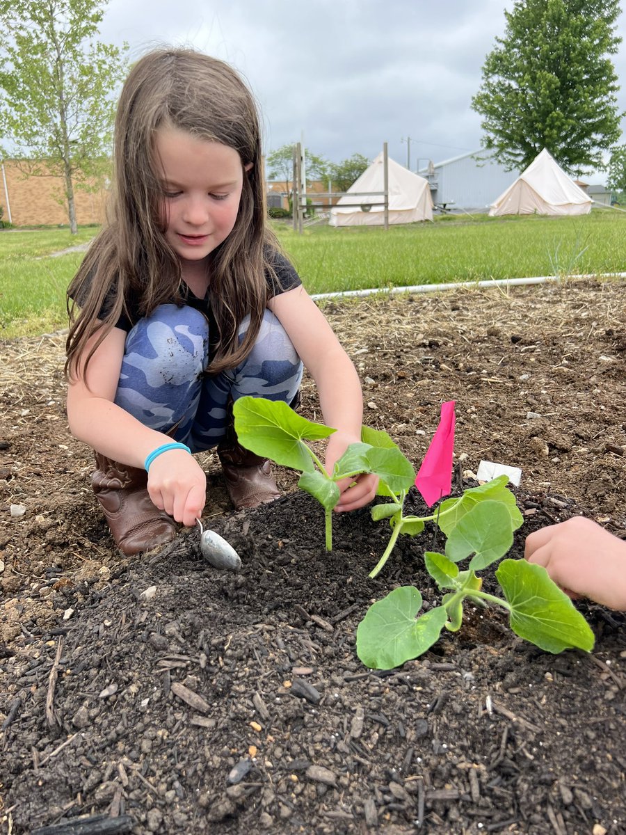 PrincipalRuyle's tweet image. Getting the @twomileprairie pumpkin patch ready for the fall! #agweek #placebased #prairieproud