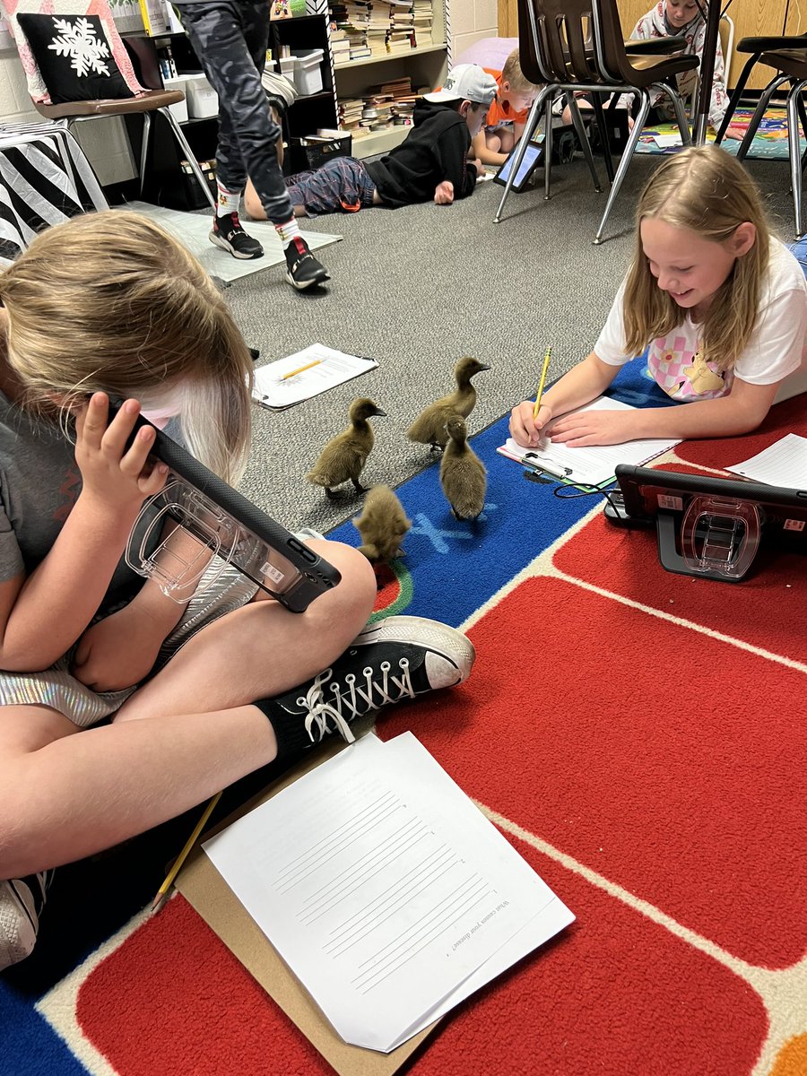 Amanda Ruyle tweet media