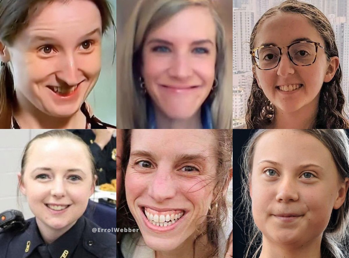 The Liberal Faces of Destruction:

·Emily Kohrs, Georgia grand jury forewoman
·Sofia Colucci, Miller Lite’s CMO
·Caroline Ellison, Alameda Research CEO
·Maegan Hall, fu©ked half a police department
·Alissa Heinerscheid, Bud Light's marketing VP
·Greta Thunberg, climate alarmist