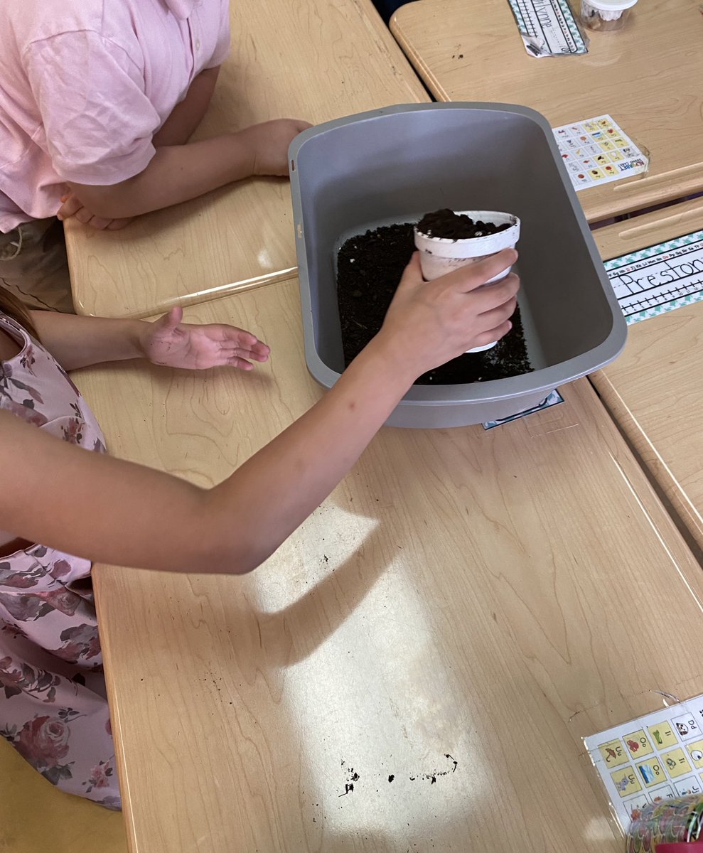 Tiffany Spizzo tweet media