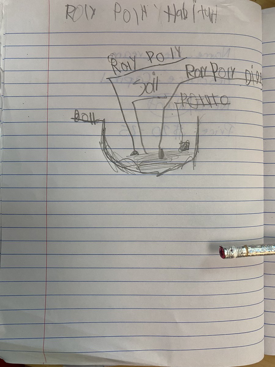 Tiffany Spizzo tweet media