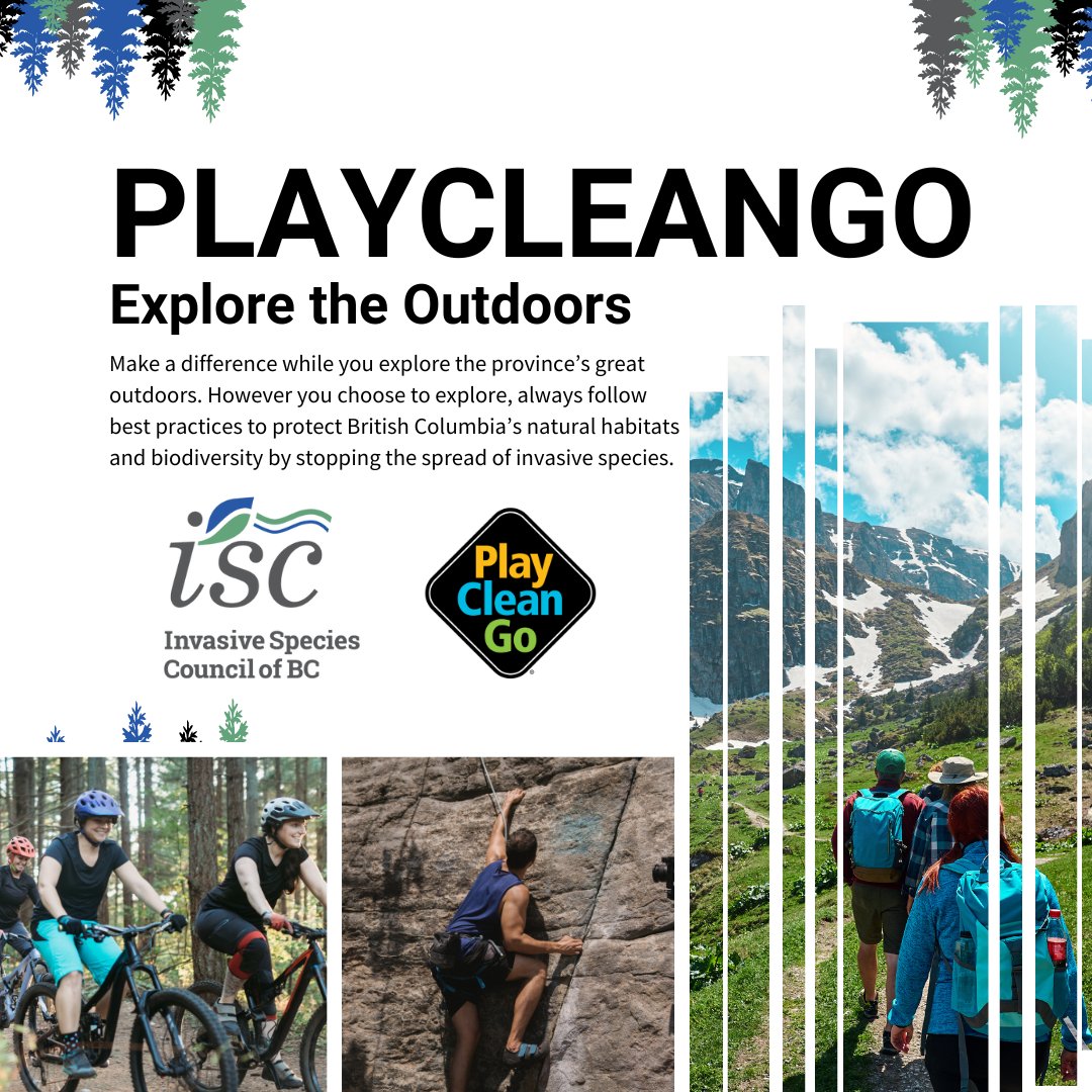 ISCBC's tweet image. Join other outdoor enthusiasts in BC protecting the places we love by practicing the simple steps of #PlayCleanGo.

Learn more 👉bcinvasives.ca/play-your-part…