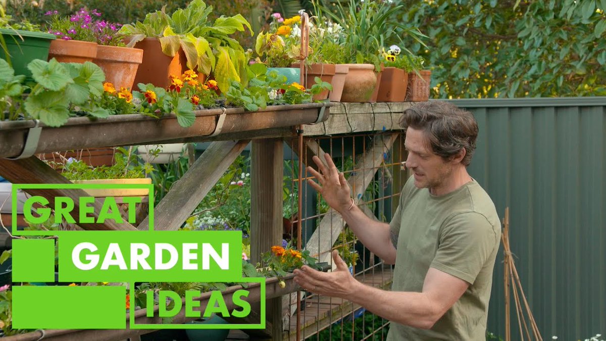 Mini Garden Project | GARDEN | ...
 
#BetterHomesAndGardens #Bhgcom #Cooking #Diy #DiyProjects #GardenDesign
 
allforgardening.com/476649/mini-ga…