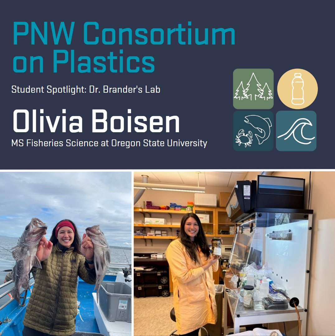 pnwmicroplastics tweet media