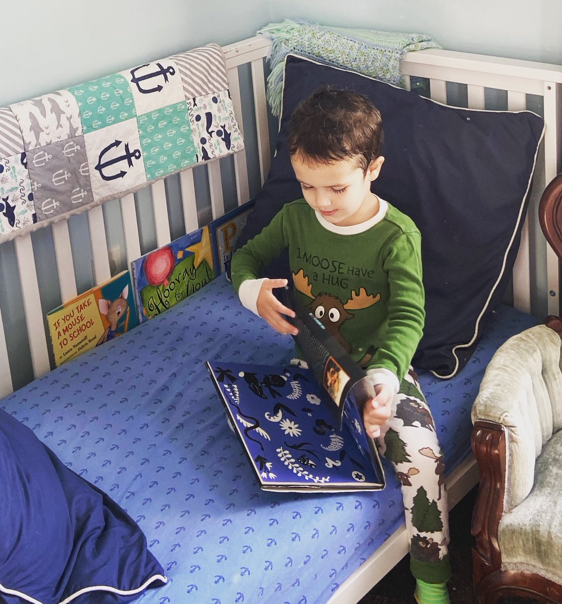 Adrienne Daniels tweet media