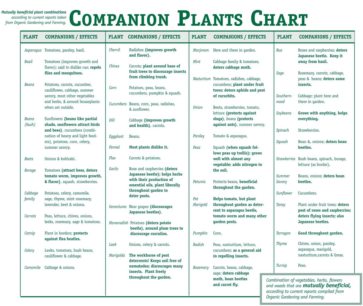 YOU CAN GROW NATURALLY WITHOUT PESTICIDES  facebook.com/theseedguy We have 9 Heirloom Seed Packages in Stock, Our Individual Varieties, New Fall 2022 Harvest Seeds, and Sale Priced Now.  theseedguy.net/15-seed-packag………………………#seeds #gardening #preppers