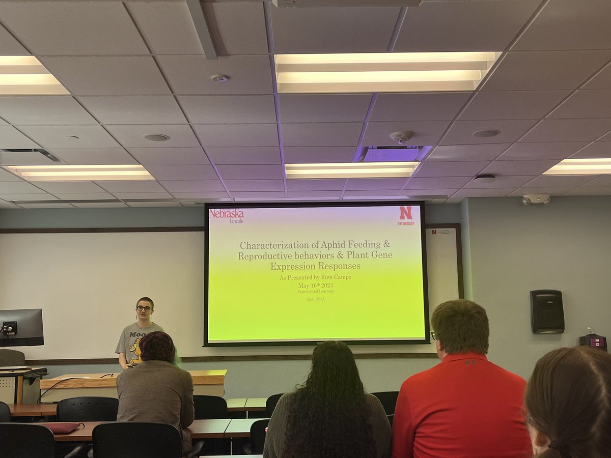 lise pingault tweet media