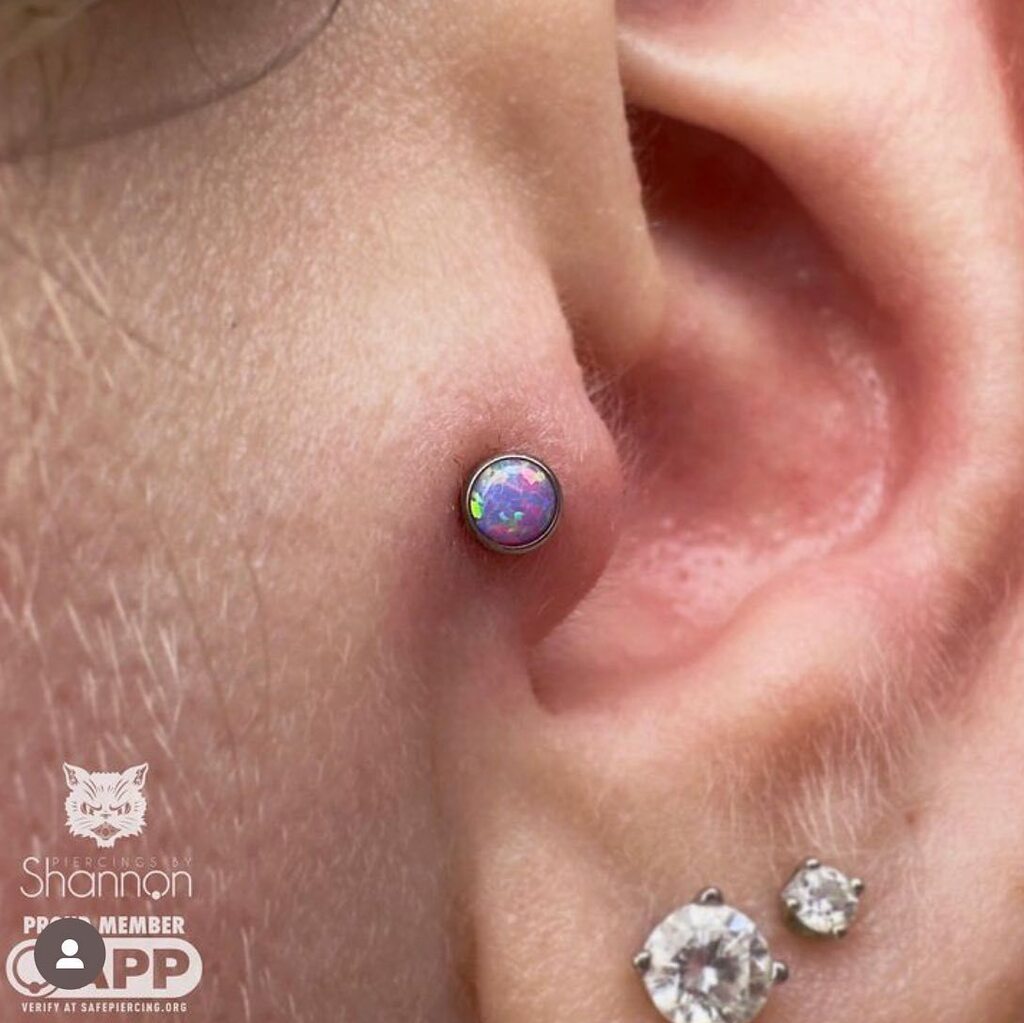 blackcatpa's tweet photo. Fresh tragus piercing by Shannon @piercingsbyshannon 💜 This client chose the lavender opal from NeoMetal to complete the look ✨💜✨ @neometaljewelry https://t.co/Zq1PtQQcxj