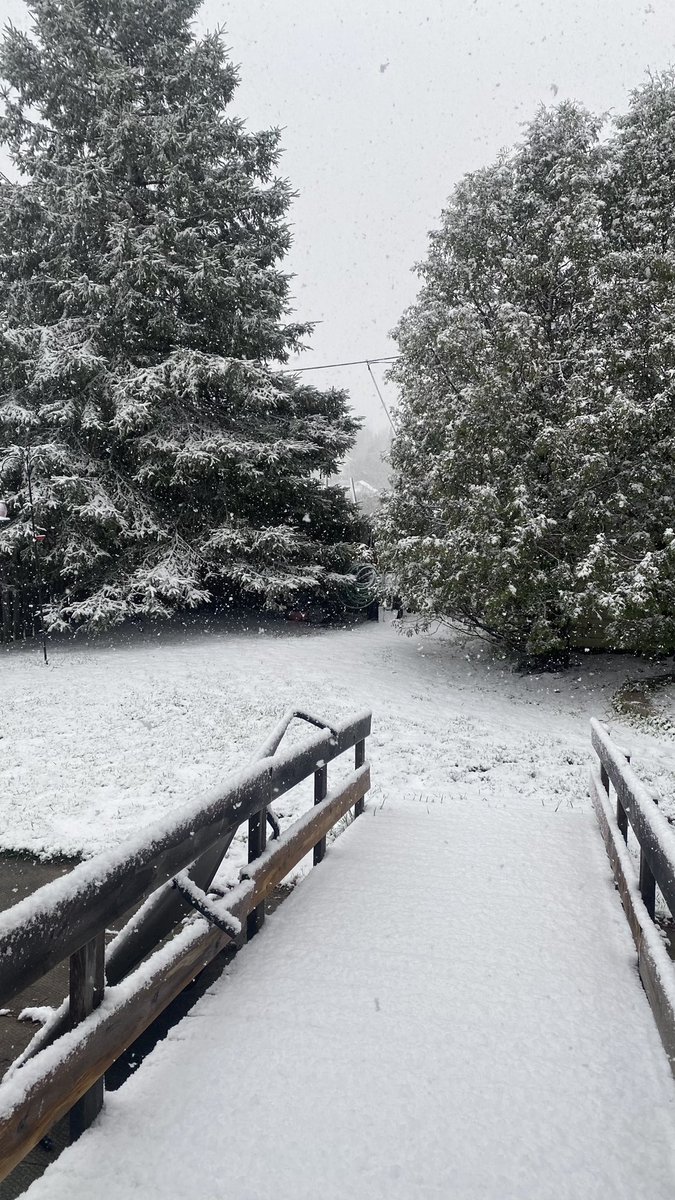 LuceMoore's tweet photo. @Ross_Hull -1 in Kirkland Lake this morning.  At least the boys are happy 😊☃️❄️🌨️
Beau and Moose trying to clear the ramp by eating all the snow.  One of their favourite past times in the winter…oh wait a minute isn’t it suppose to be spring 😆 https://t.co/QoYY8YFSmg