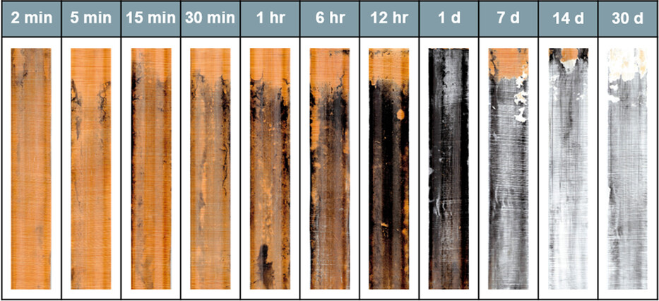 Soil Science Society of America Journal (@sssajournal) on Twitter photo Rapid formation of iron monosulfide on Indicator of Reduction in Soil devices in S-rich hydric soils - study by Duball, Andersen, Beaudette & Vaughan
doi.org/10.1002/saj2.2… <a href="/UMNswac/">Soil, Water, & Climate</a> <a href="/USDA_NRCS/">Natural Resources Conservation Service</a> <a href="/ChelseaDirtball/">Chelsea Duball (Dr. Dirtball)</a> @DylanBeaudette <a href="/MeganLAndersen/">Megan Andersen</a> <a href="/vaughan_soil/">Karen Vaughan</a> Rapid formation of iron monosulfide on Indicator of Reduction in Soil devices in S-rich hydric soils - study by Duball, Andersen, Beaudette & Vaughan
doi.org/10.1002/saj2.2… <a href="/UMNswac/">Soil, Water, & Climate</a> <a href="/USDA_NRCS/">Natural Resources Conservation Service</a> <a href="/ChelseaDirtball/">Chelsea Duball (Dr. Dirtball)</a> @DylanBeaudette <a href="/MeganLAndersen/">Megan Andersen</a> <a href="/vaughan_soil/">Karen Vaughan</a>
