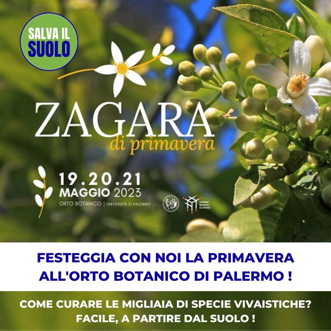 Chiediamo gentilmente ai media di informare in merito alla partecipazione di #SaveSoilMovement all'evento ZAGARA di PRIMAVERA a #Palermo.
➡️SaveSoil.org
@PalermoToday @PalermoNotizie @TgrRaiSicilia @lasiciliait @blogsicilia @palermotv