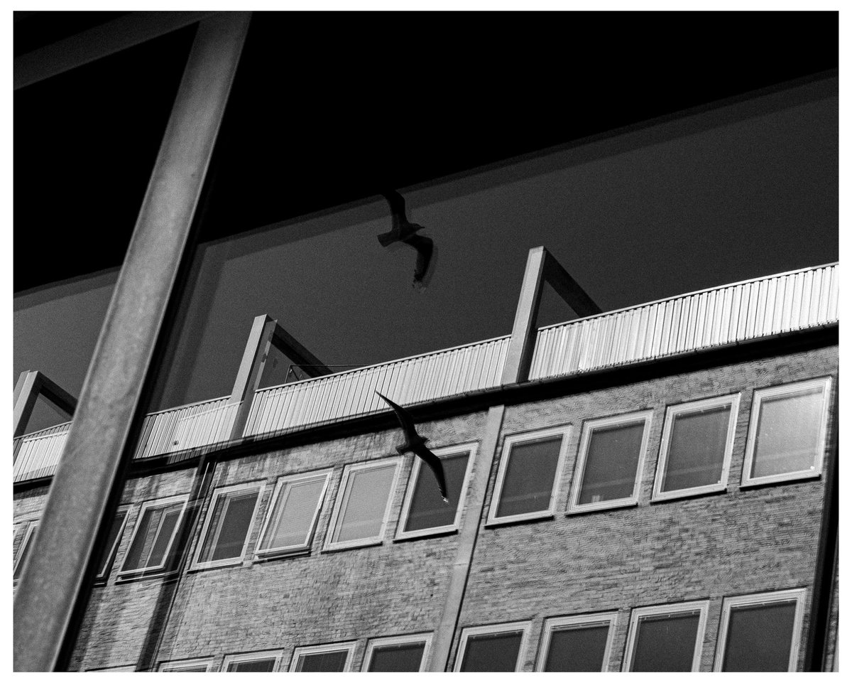 HellstenPhoto's tweet image. Life in black and white | Malmö, 2023