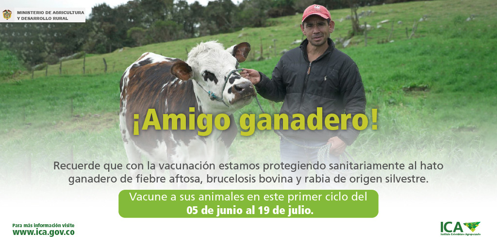 jflafaurie's tweet image. #TodosAVacunar 

¡Vacunar es exportar y mantener el estatus sanitario de #Colombia! La campaña empezará el 5 de junio y se extenderá hasta el 19 de julio.

@Fedegan 
@FngFedeganPlato 
@FedeganValencia 
@FUNDAGAN 
#ConstruyendoGanadería 
#DerribandoMitos