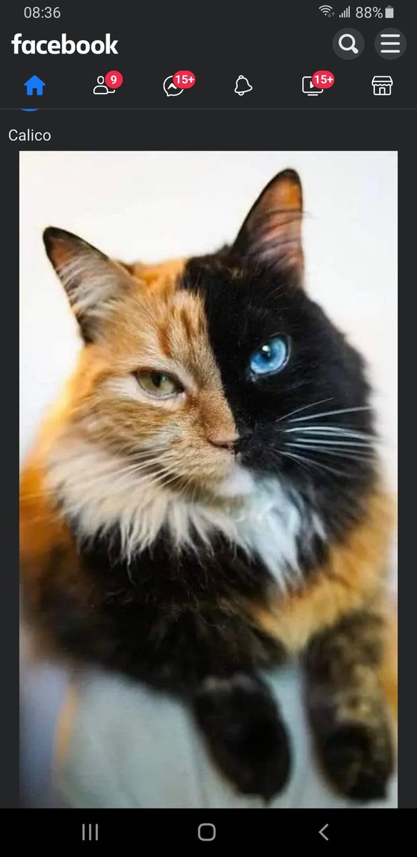 RobinDoctor's tweet image. I'm awakening.